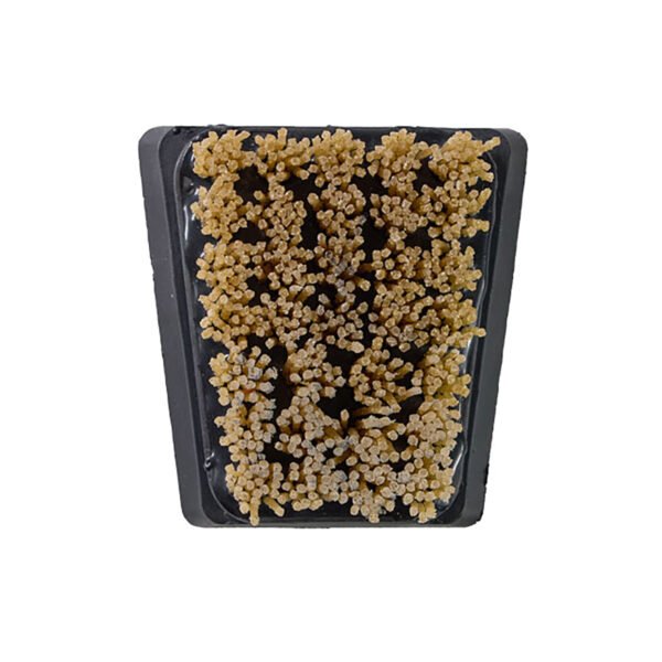 Frankfurt Abrasive Brosses diamantées sur machines à marbre – Image 3